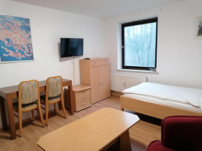 1-Zimmer Apartment mit Einbauküche und Bad